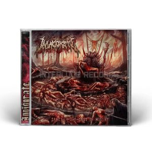 CD - INVIGORATE - Sanctity the Last of Misery