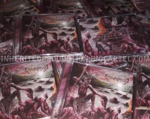 CD – Catastrophicism – Inheritance Equilibrium Resevoir Strain